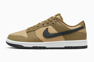 کتونی نایک SB Dunk Low وارداتی | استایل اسکیت‌بُردی، کیفیت فوق‌العاده و مناسب استریت‌استایل