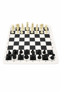 ست مهره شطرنج پلاستیکی داخل کیف زیپ‌دار | مهره شطرنج سبک و قابل حمل